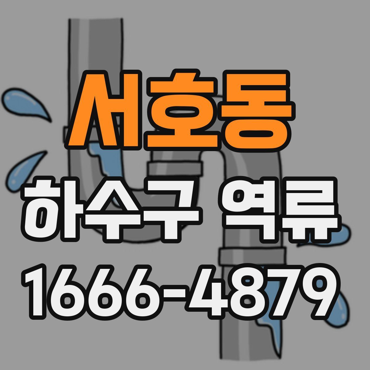 서호동 하수구 역류