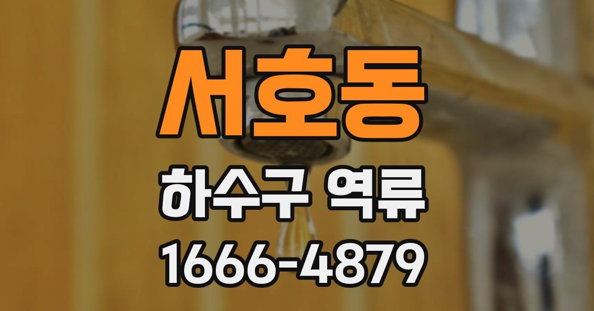 서호동 하수구 역류