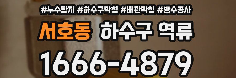 서호동 하수구 역류