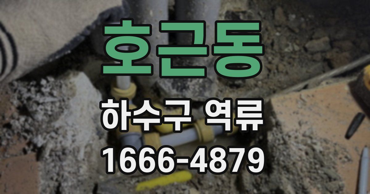 호근동 하수구 역류