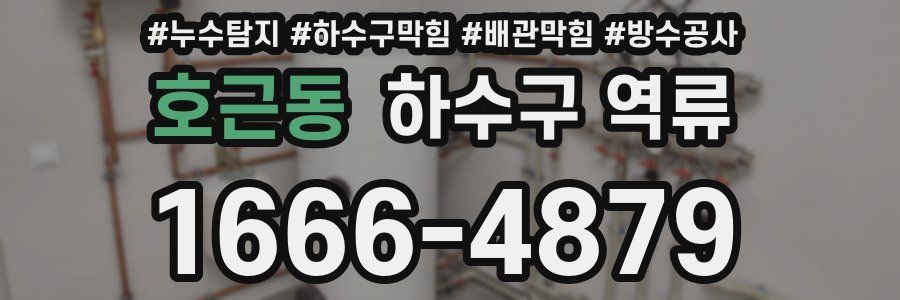 호근동 하수구 역류