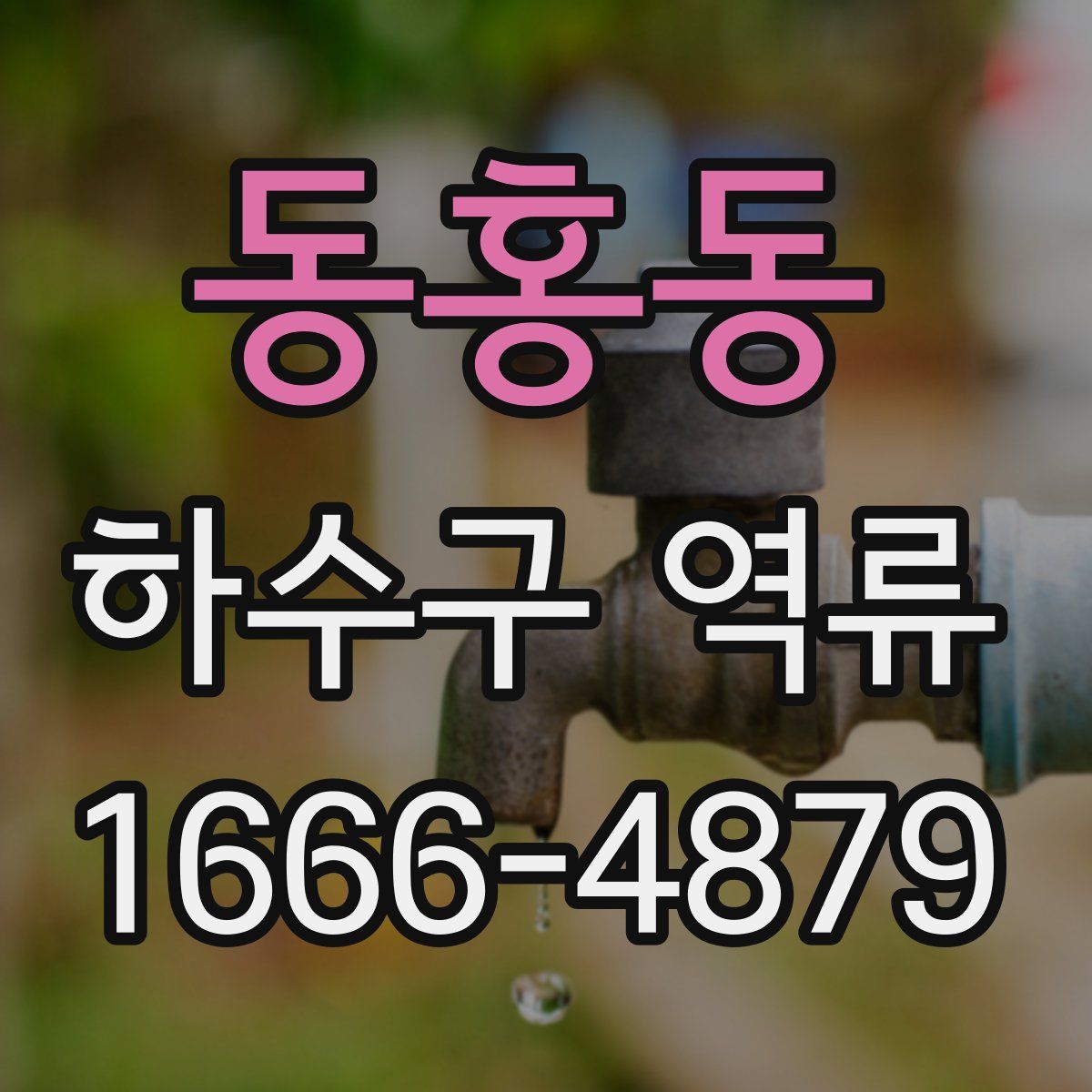 동홍동 하수구 역류