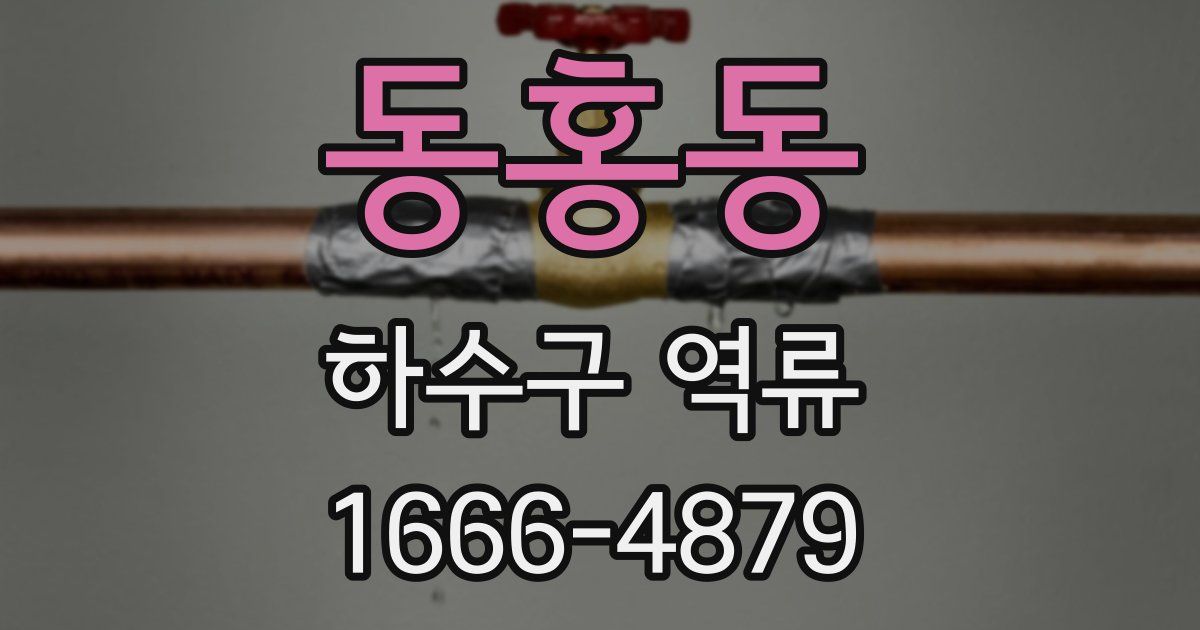 동홍동 하수구 역류