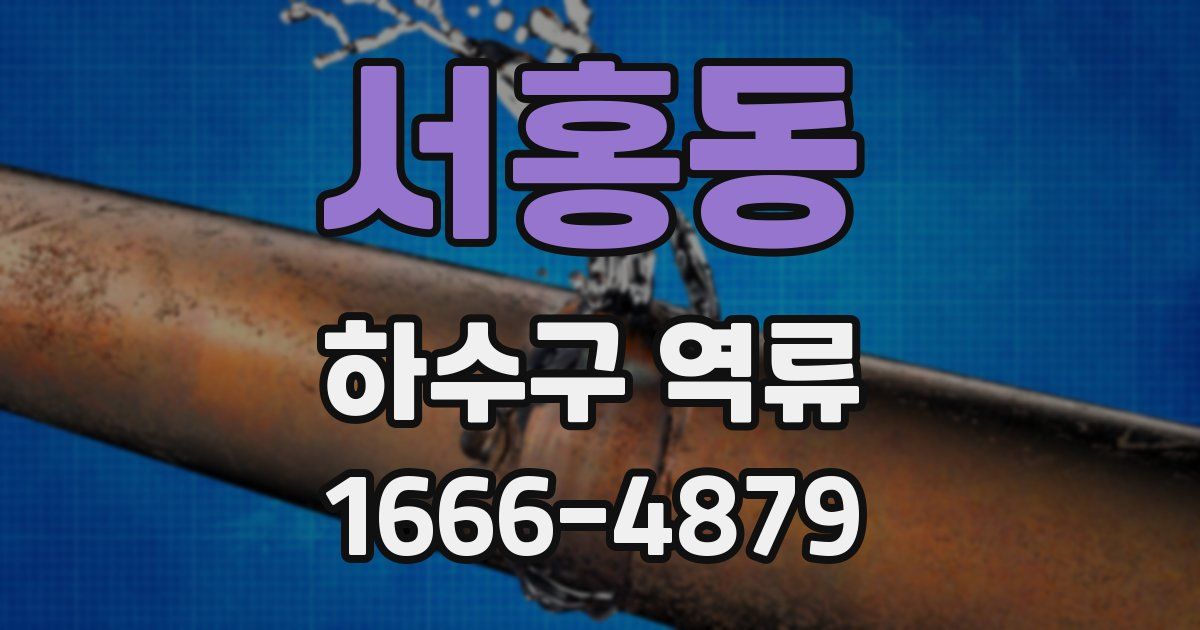 서홍동 하수구 역류