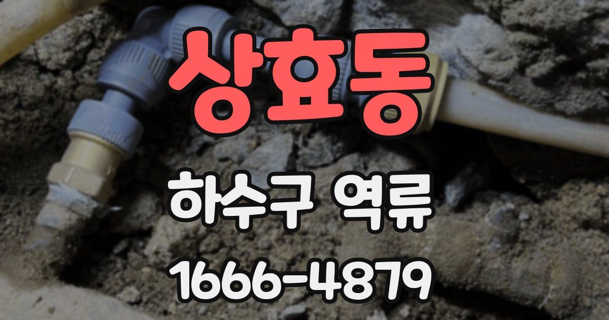 상효동 하수구 역류