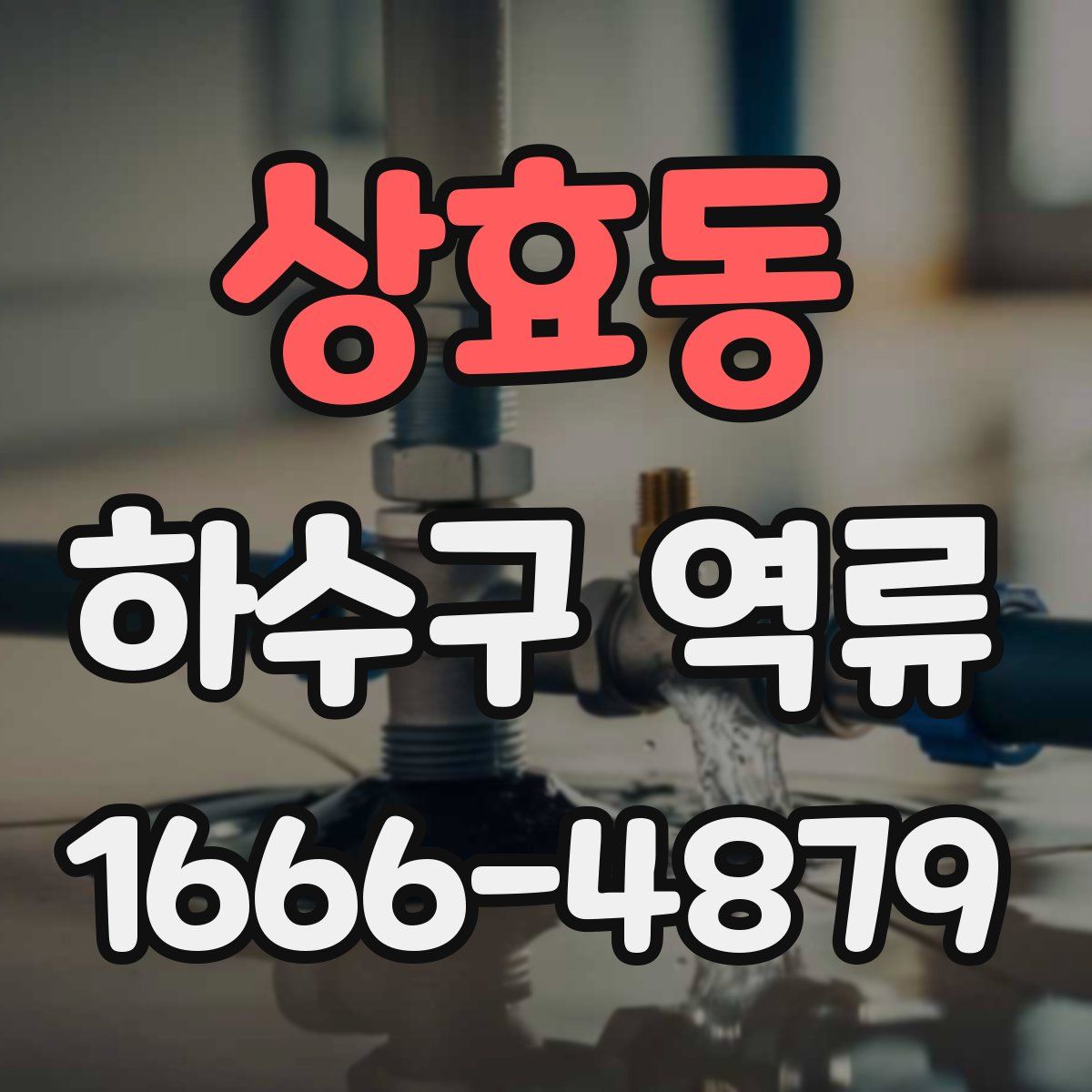 상효동 하수구 역류