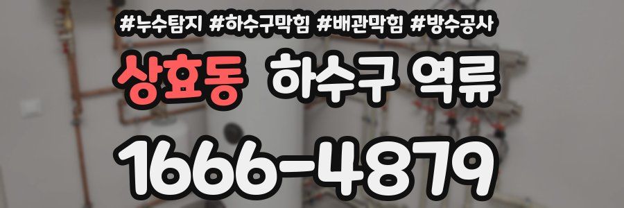 상효동 하수구 역류