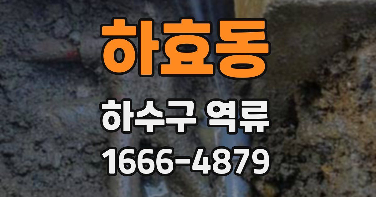 하효동 하수구 역류