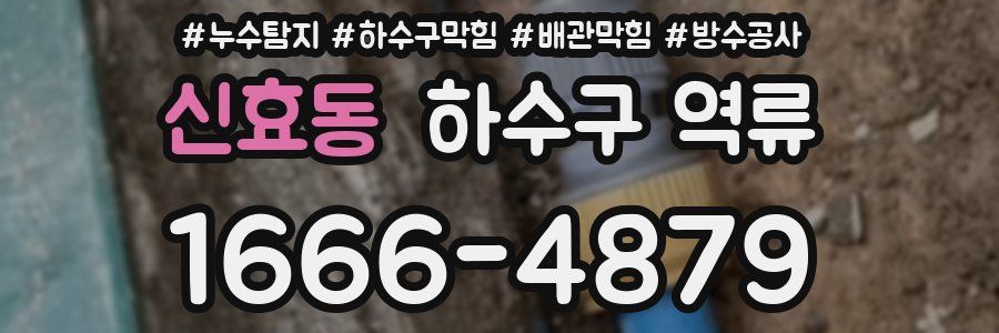 신효동 하수구 역류