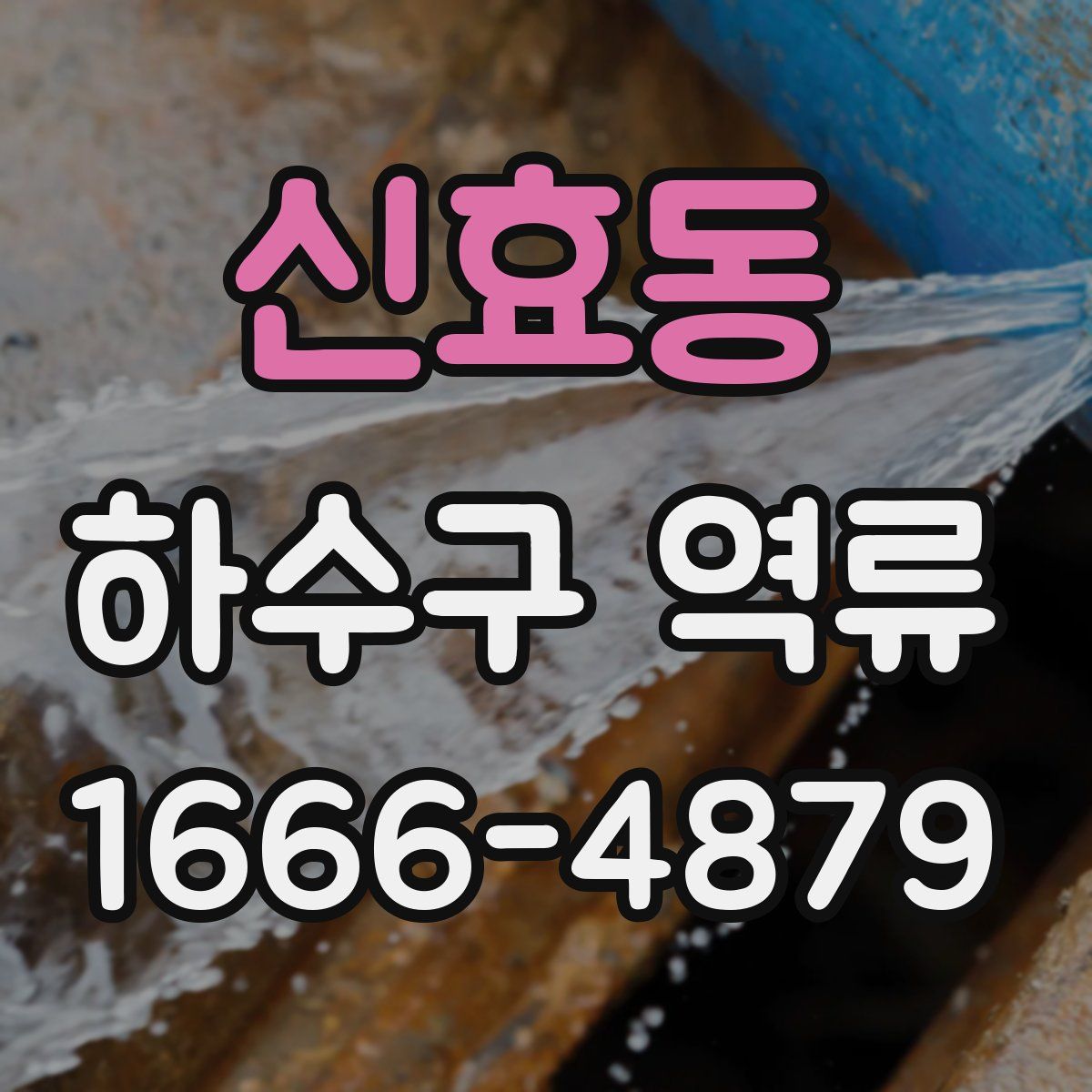신효동 하수구 역류