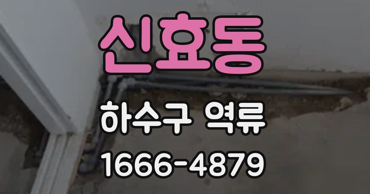 신효동 하수구 역류