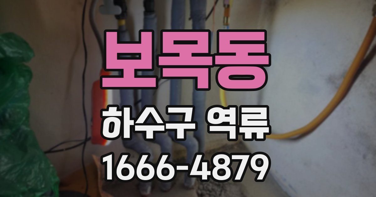 보목동 하수구 역류