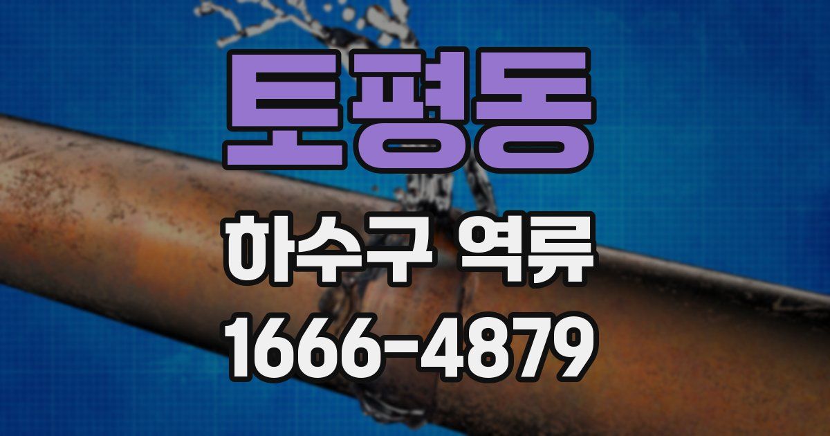 토평동 하수구 역류