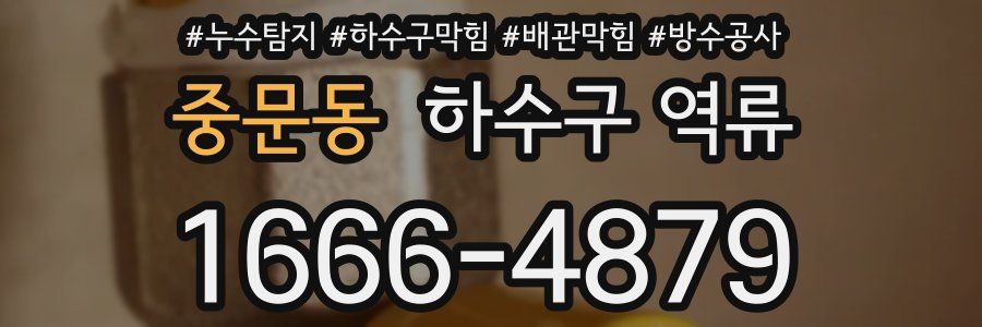 중문동 하수구 역류