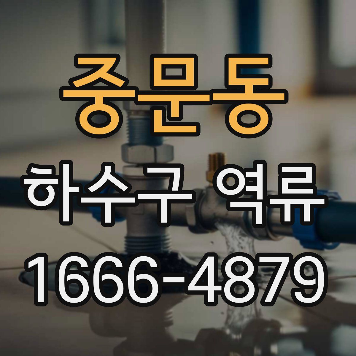 중문동 하수구 역류