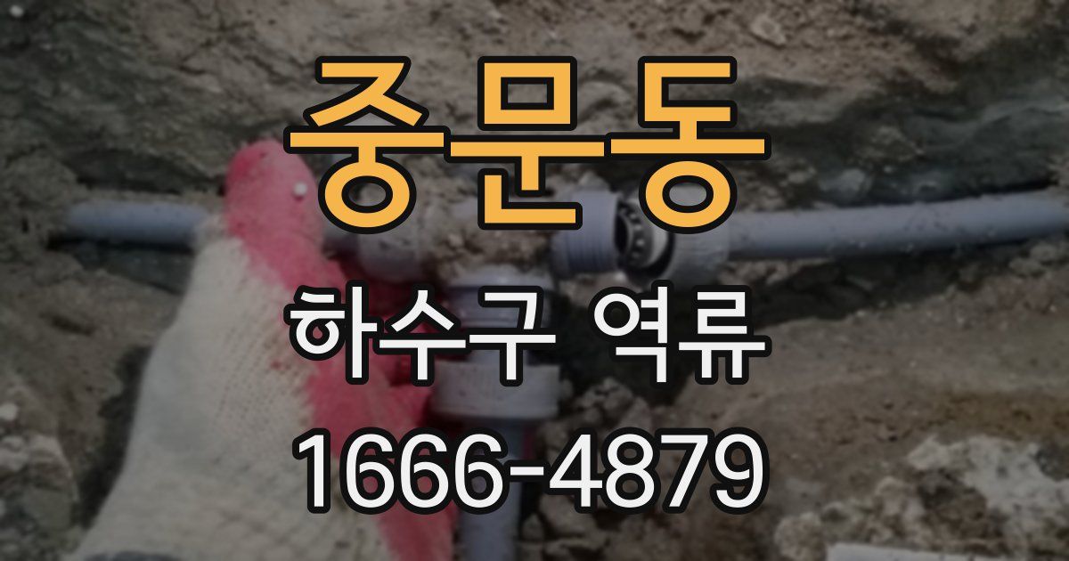 중문동 하수구 역류