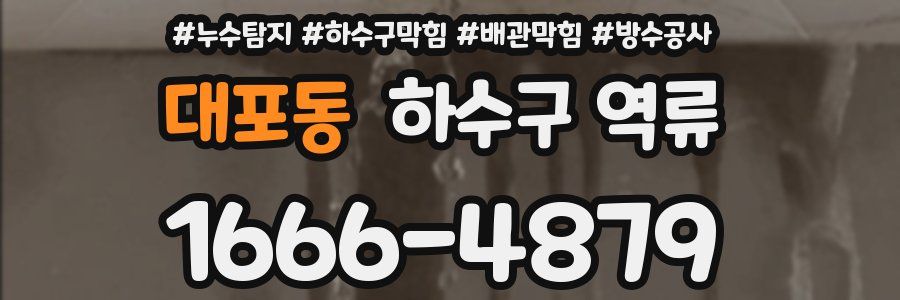 대포동 하수구 역류