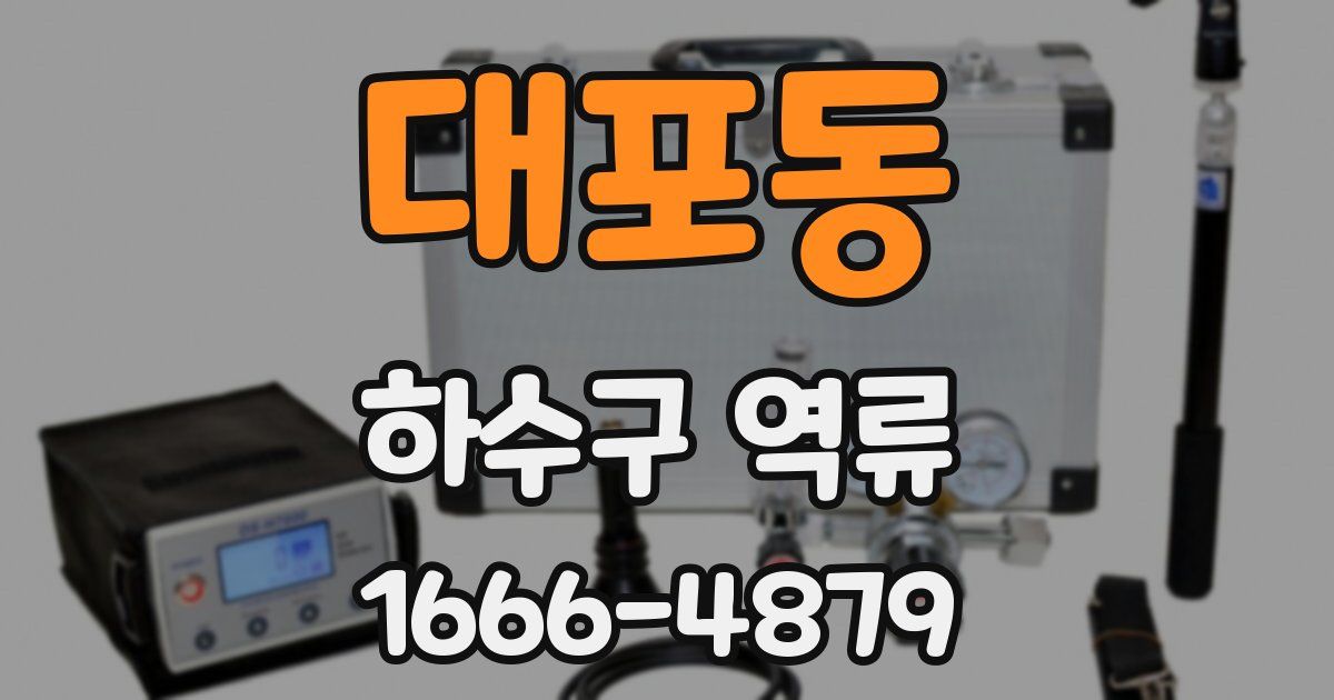 대포동 하수구 역류