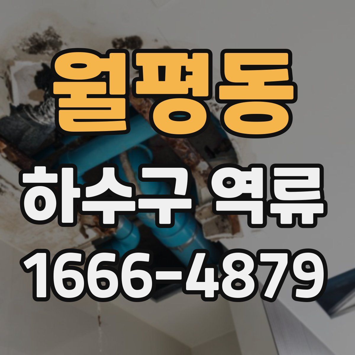 월평동 하수구 역류