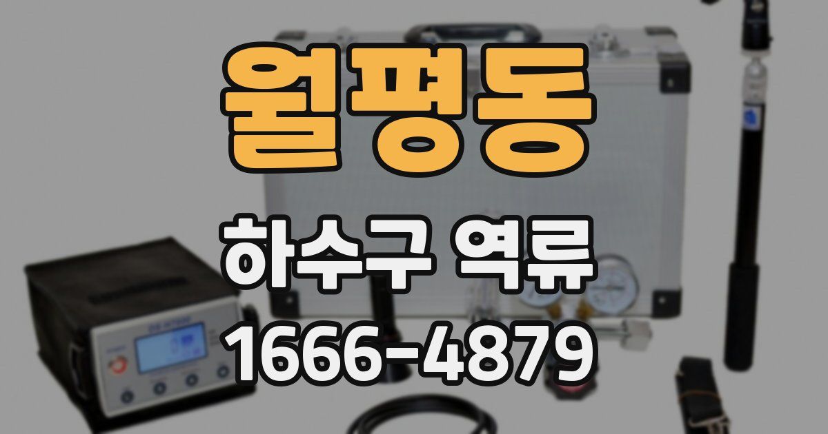 월평동 하수구 역류