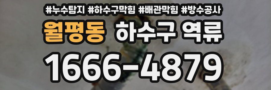 월평동 하수구 역류