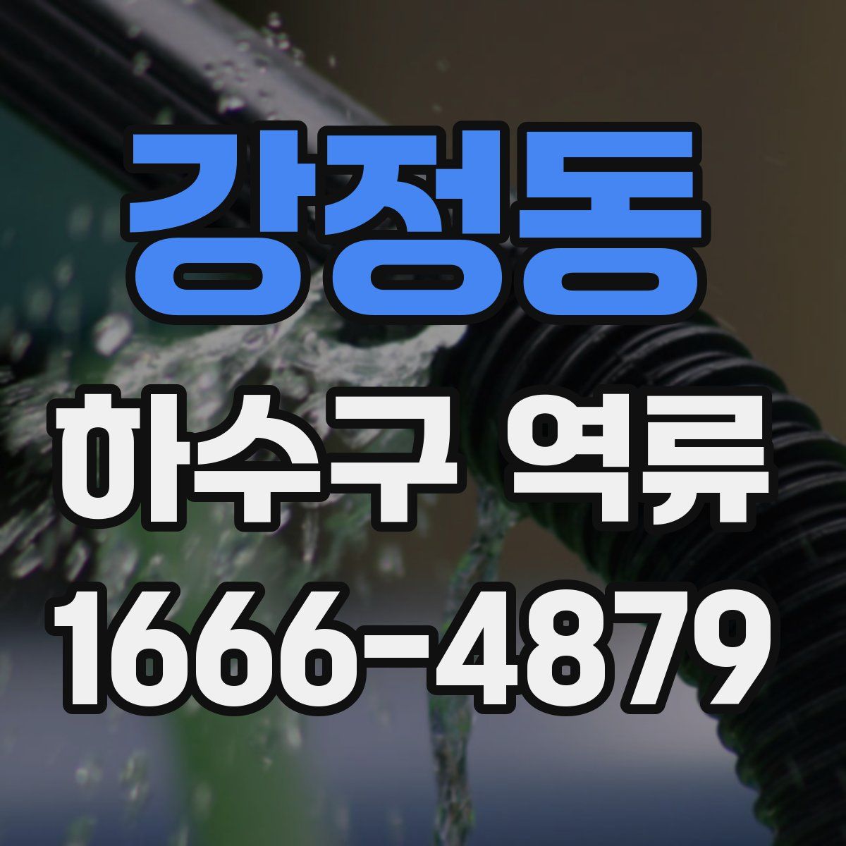 강정동 하수구 역류