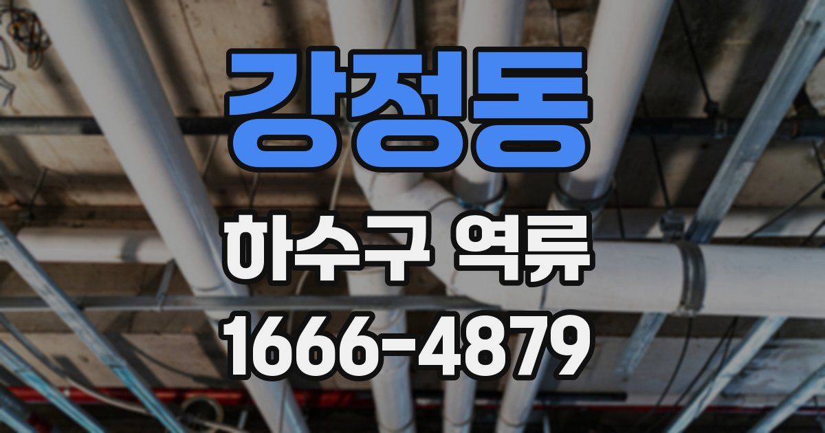 강정동 하수구 역류