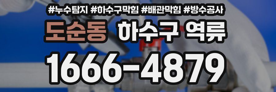 도순동 하수구 역류
