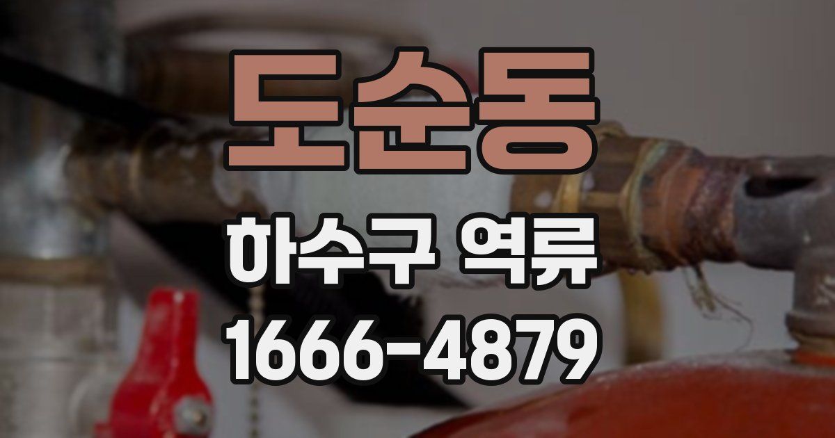 도순동 하수구 역류