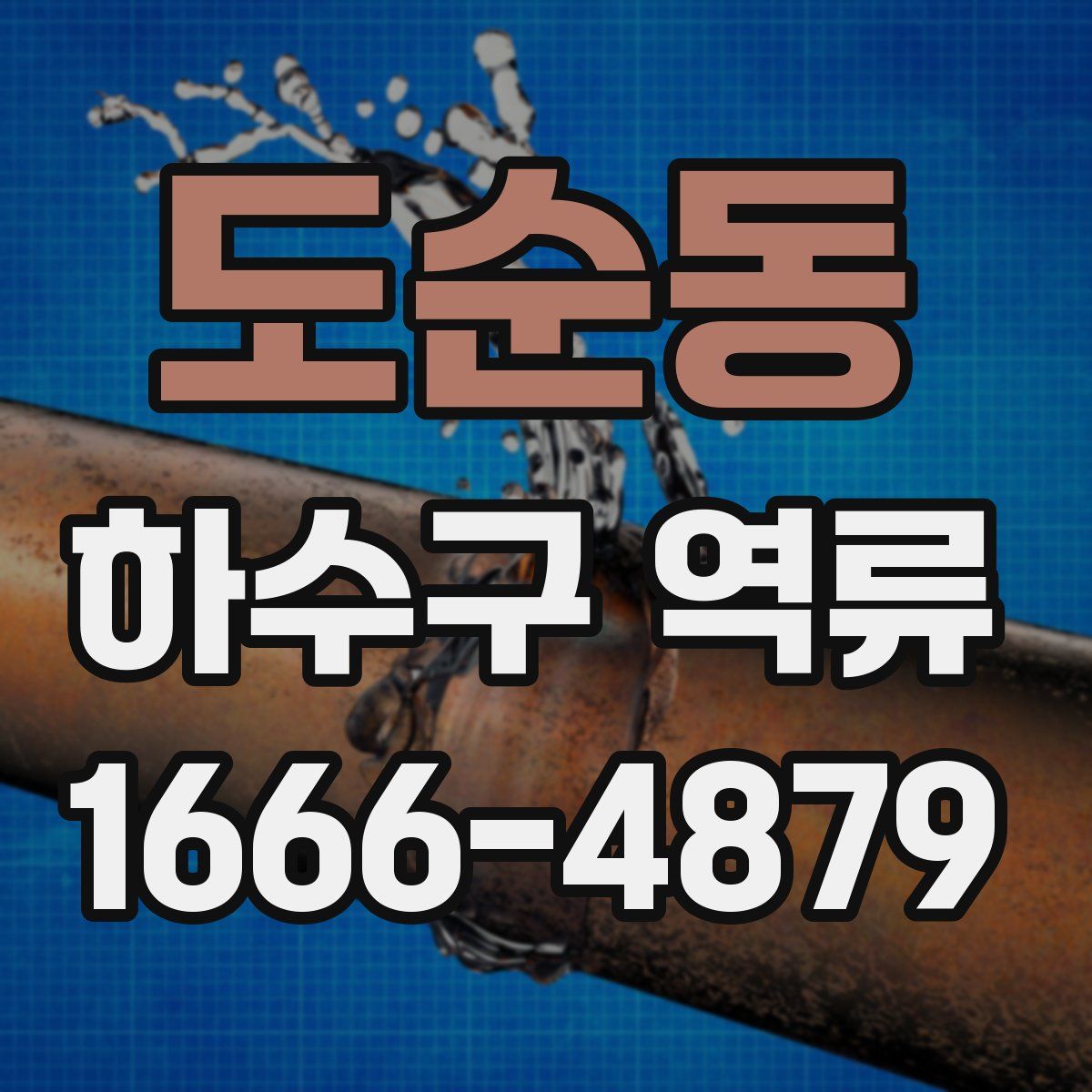 도순동 하수구 역류
