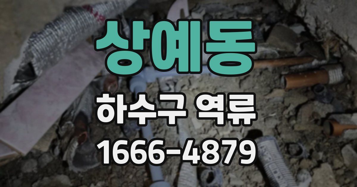 상예동 하수구 역류