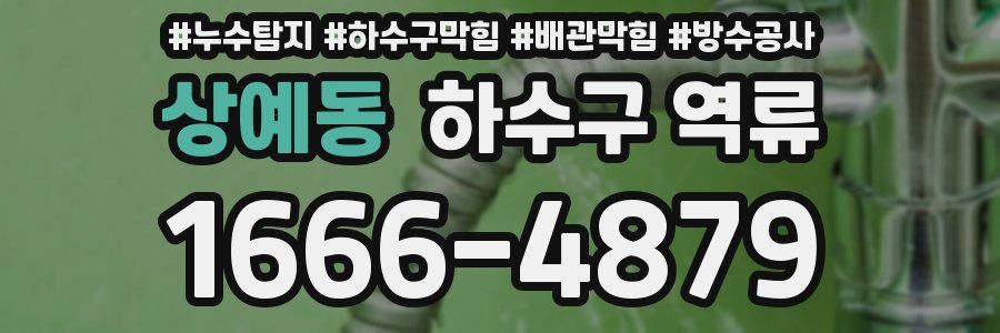 상예동 하수구 역류