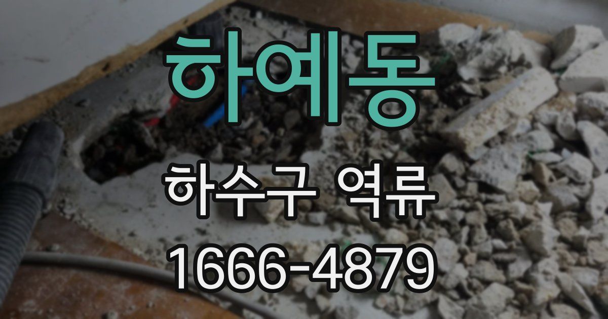 하예동 하수구 역류