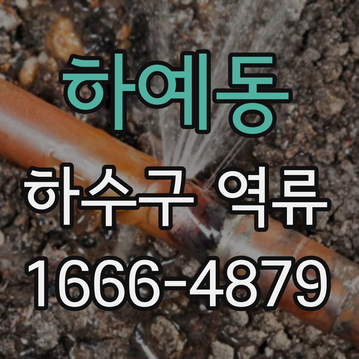 하예동 하수구 역류