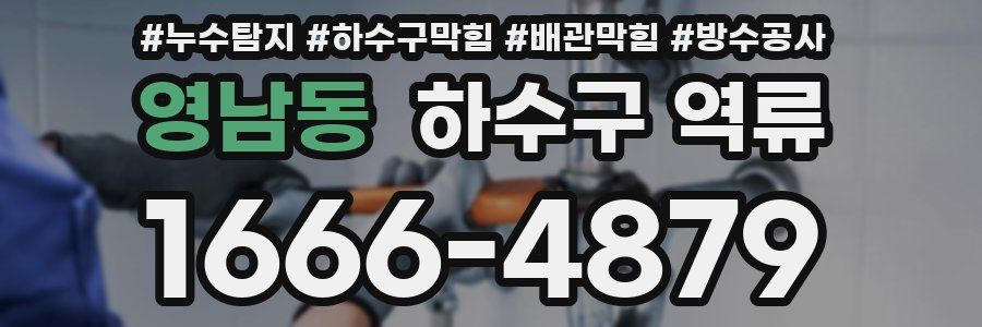영남동 하수구 역류