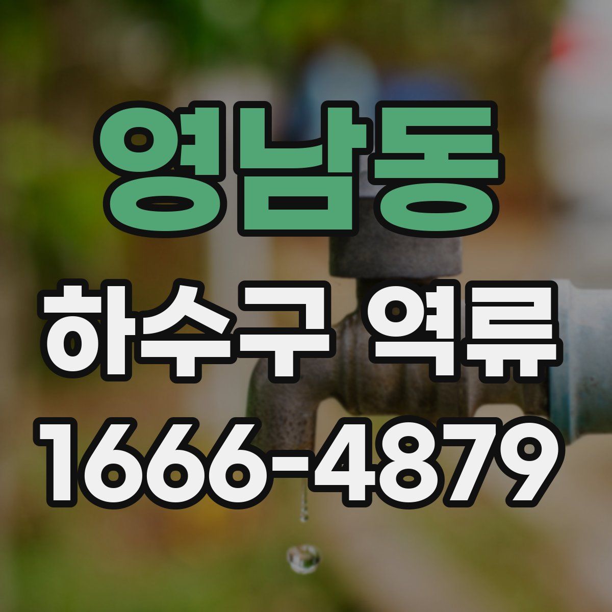 영남동 하수구 역류