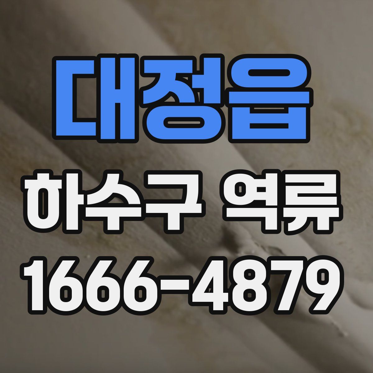 대정읍 하수구 역류