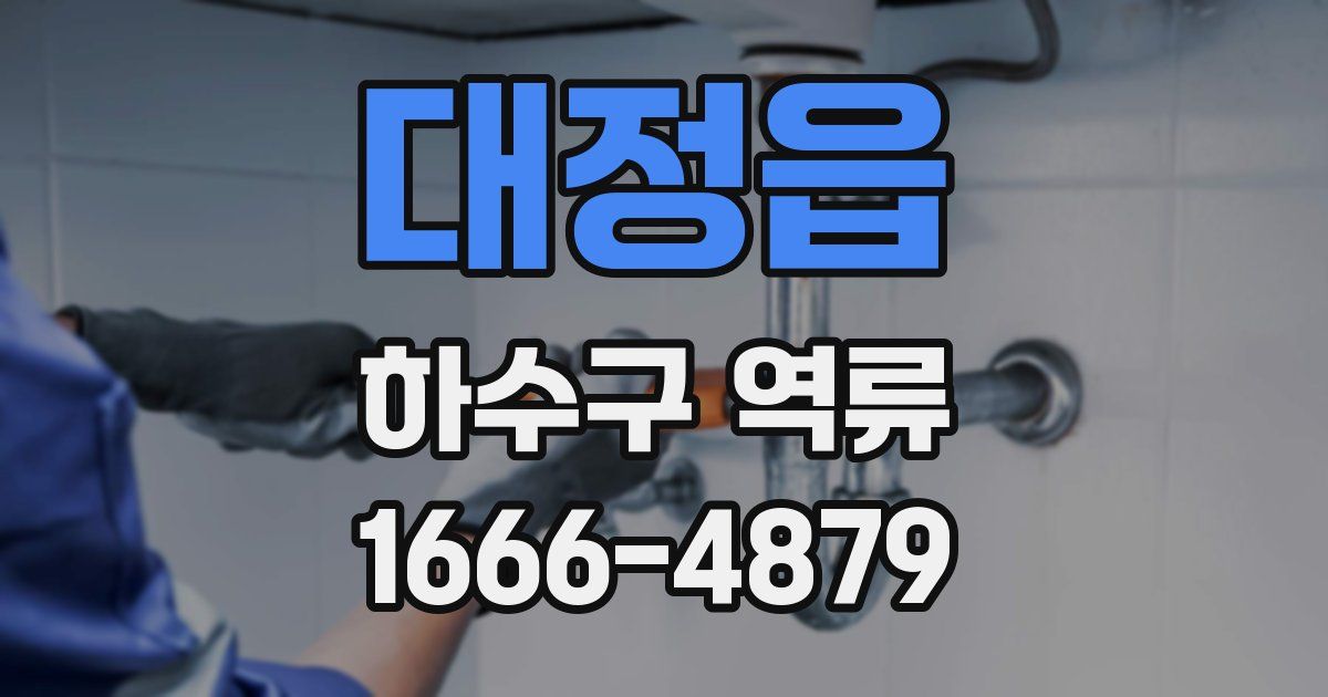 대정읍 하수구 역류