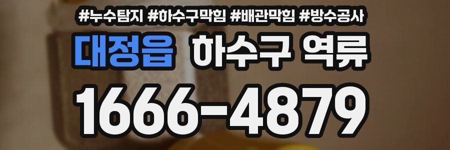 대정읍 하수구 역류