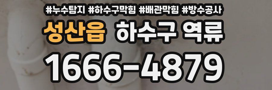 성산읍 하수구 역류