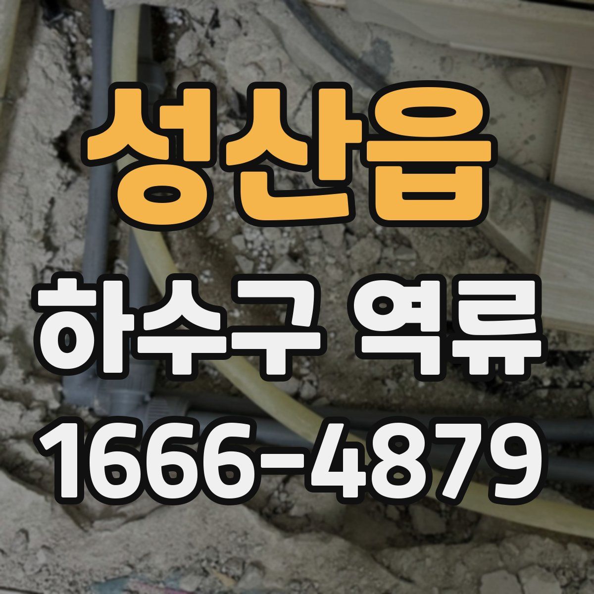 성산읍 하수구 역류