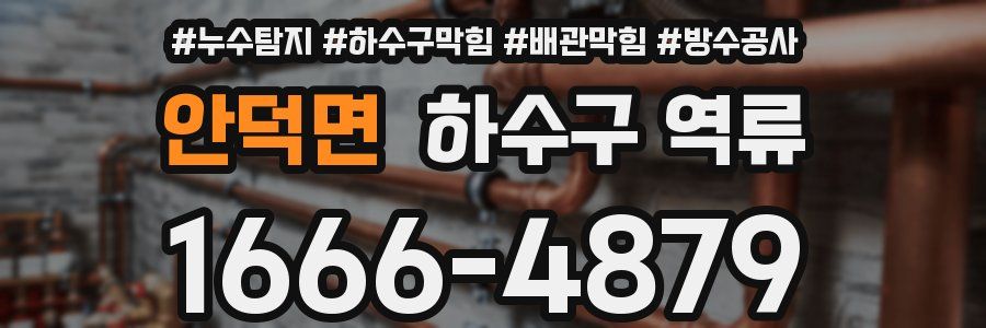 안덕면 하수구 역류