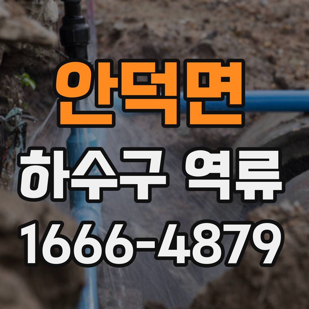 안덕면 하수구 역류