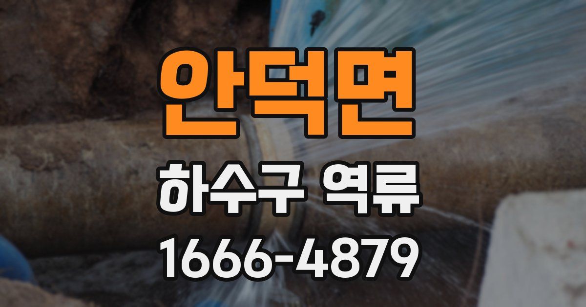 안덕면 하수구 역류