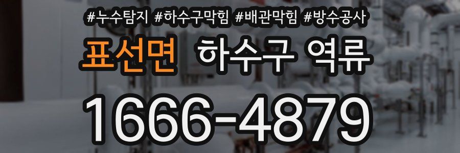 표선면 하수구 역류