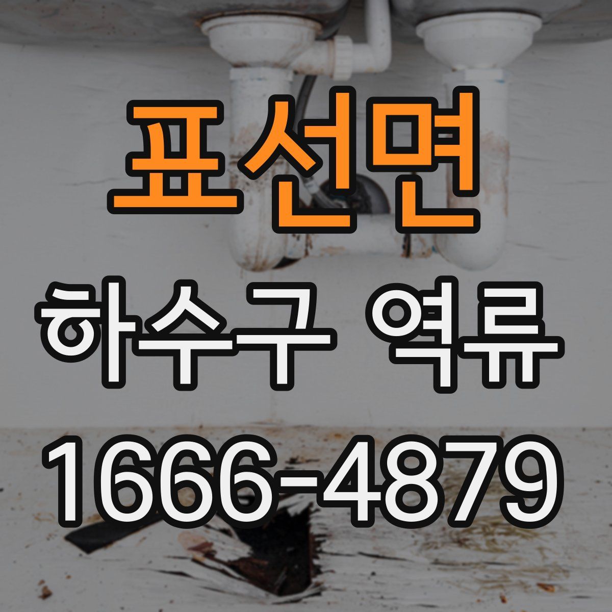 표선면 하수구 역류