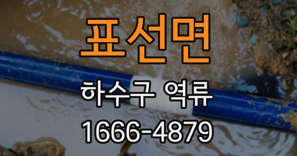 표선면 하수구 역류