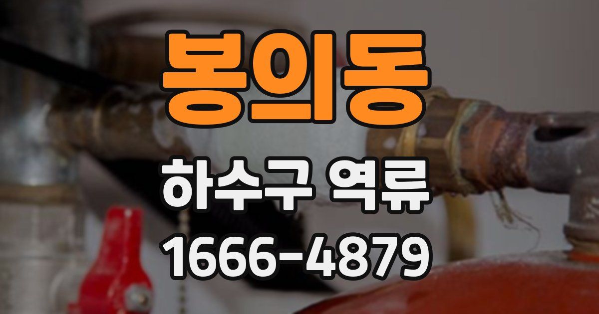봉의동 하수구 역류