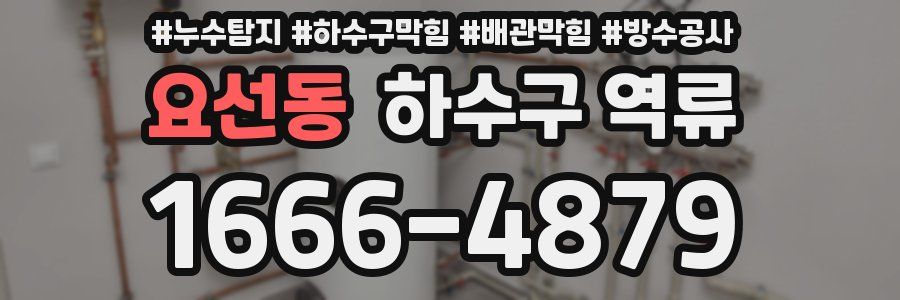요선동 하수구 역류