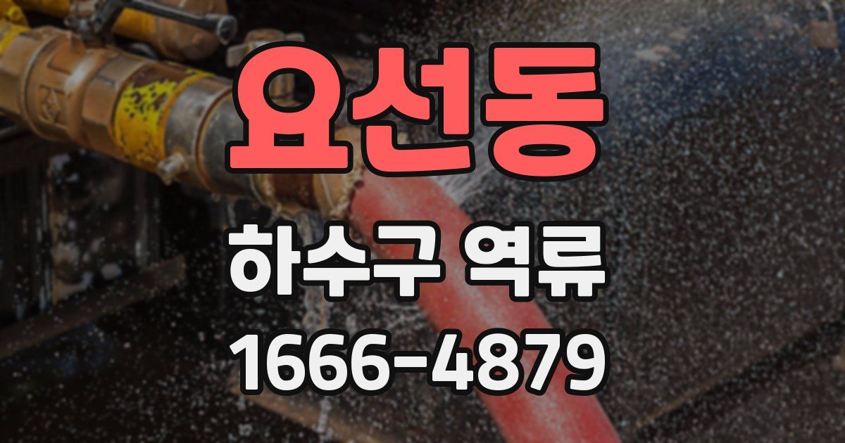 요선동 하수구 역류